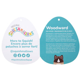 Squishmallows Woodward Snowshoe Cat face detail shows friendly expression for kids.