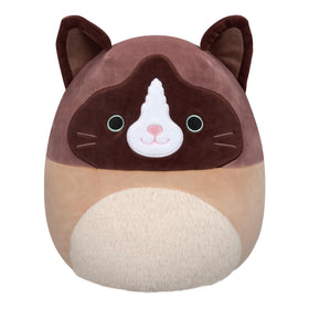 Squishmallows Woodward Snowshoe Cat front view, ultrasoft plush ideal for cuddling and display.