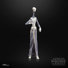 STAR WARS Taun We pairs well with other Black Series 6-inch figures.