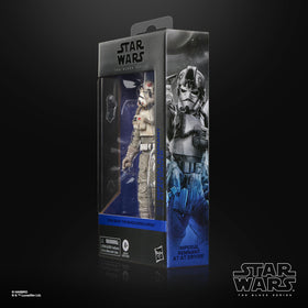 Perfect for diorama setups and gifting to collectors.