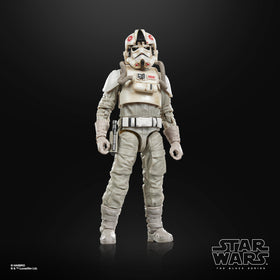 Premium deco and sculpt enhance room display for collectors.