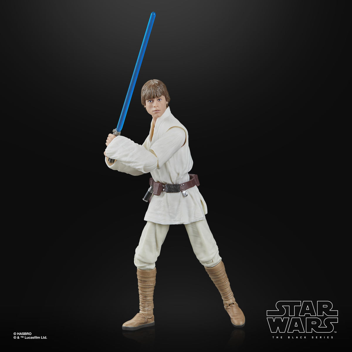 STAR WARS Luke Skywalker deco detail enhances collector presentation.