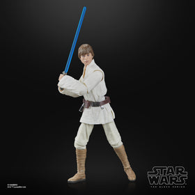 STAR WARS Luke Skywalker deco detail enhances collector presentation.