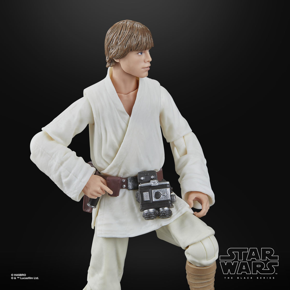STAR WARS Luke Skywalker figure in iconic front pose for shelf display.