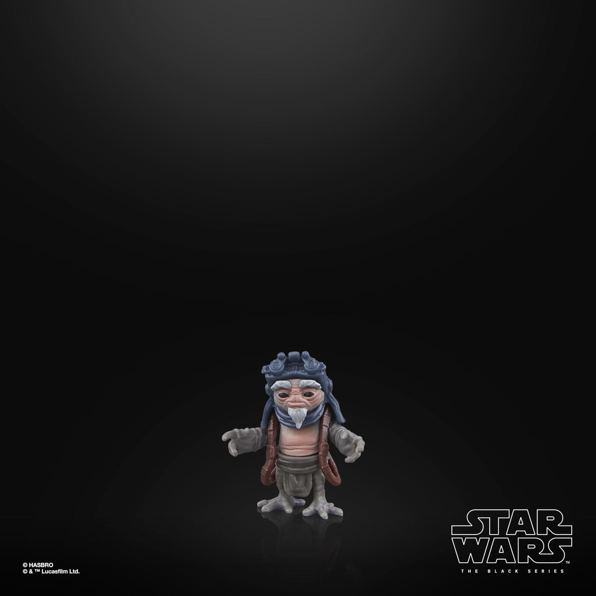 Display-ready Black Series figures for a cohesive collection.