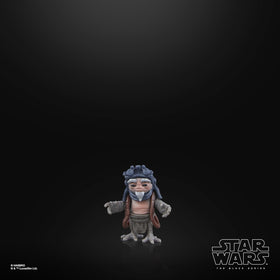 Display-ready Black Series figures for a cohesive collection.