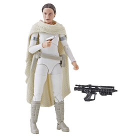 STAR WARS The Black Series Padmé Amidala figure front view for display and collection