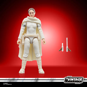 STAR WARS Padmé Amidala premium deco enhances display presence.