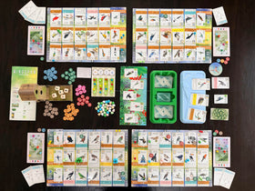 Stonemaier Wingspan Americas eco packaging emphasizes sustainable, recyclable design.