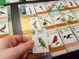 Stonemaier Wingspan Americas solo Automa enables engaging single-player play.