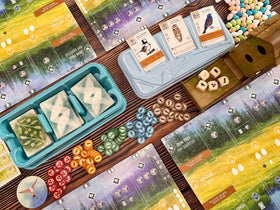 Stonemaier Wingspan base family game night setup for groups