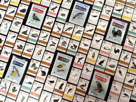 Stonemaier Wingspan promo Asia region card art showcasing diverse bird designs