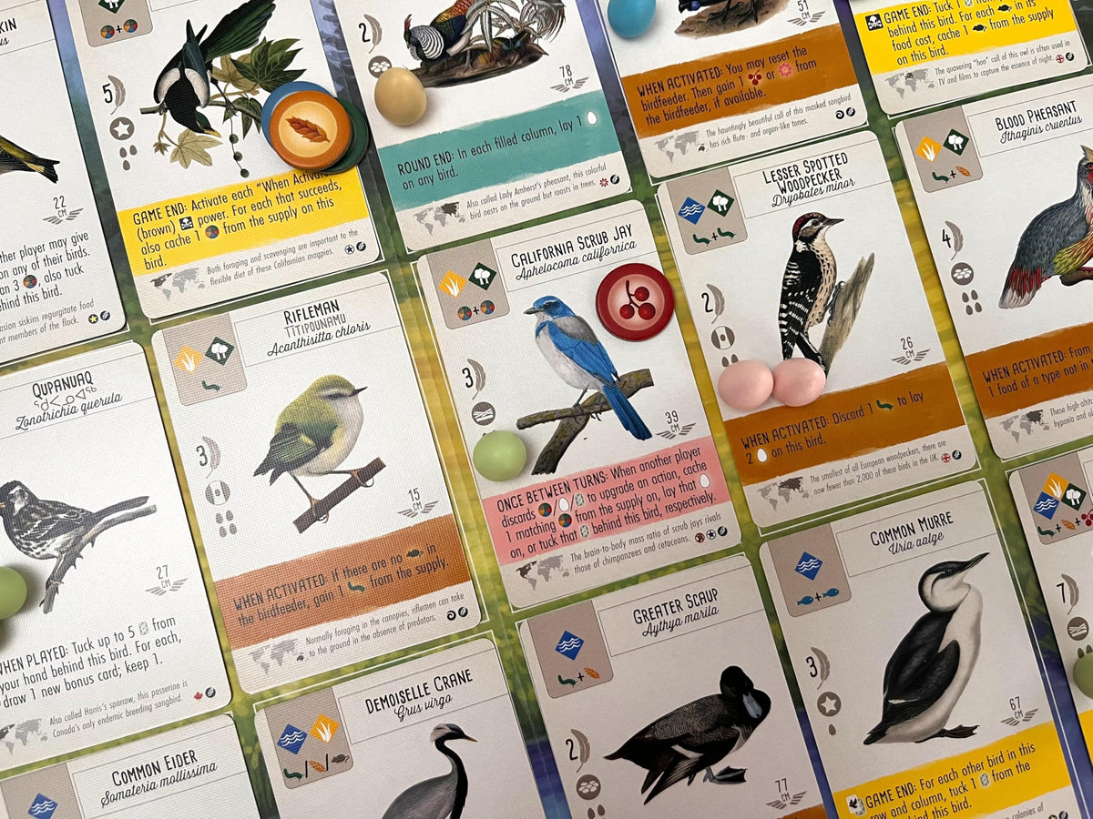 Stonemaier Wingspan promo card collection in display-ready set for quick integration