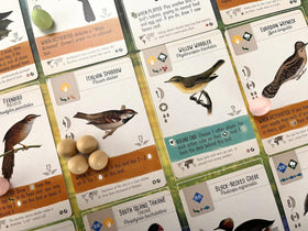 Stonemaier Wingspan promo region-variant setup for customizable starting hands
