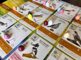 Stonemaier Wingspan speckled eggs artwork inspired by birds