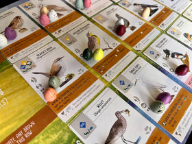 Stonemaier Wingspan speckled eggs closeup showcasing patterns
