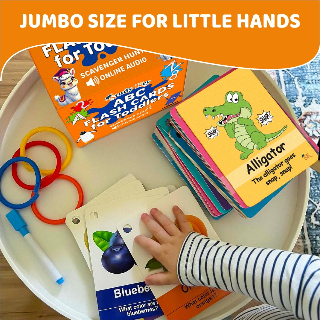 Study Key animals cards introduce friendly creatures to boost vocabulary