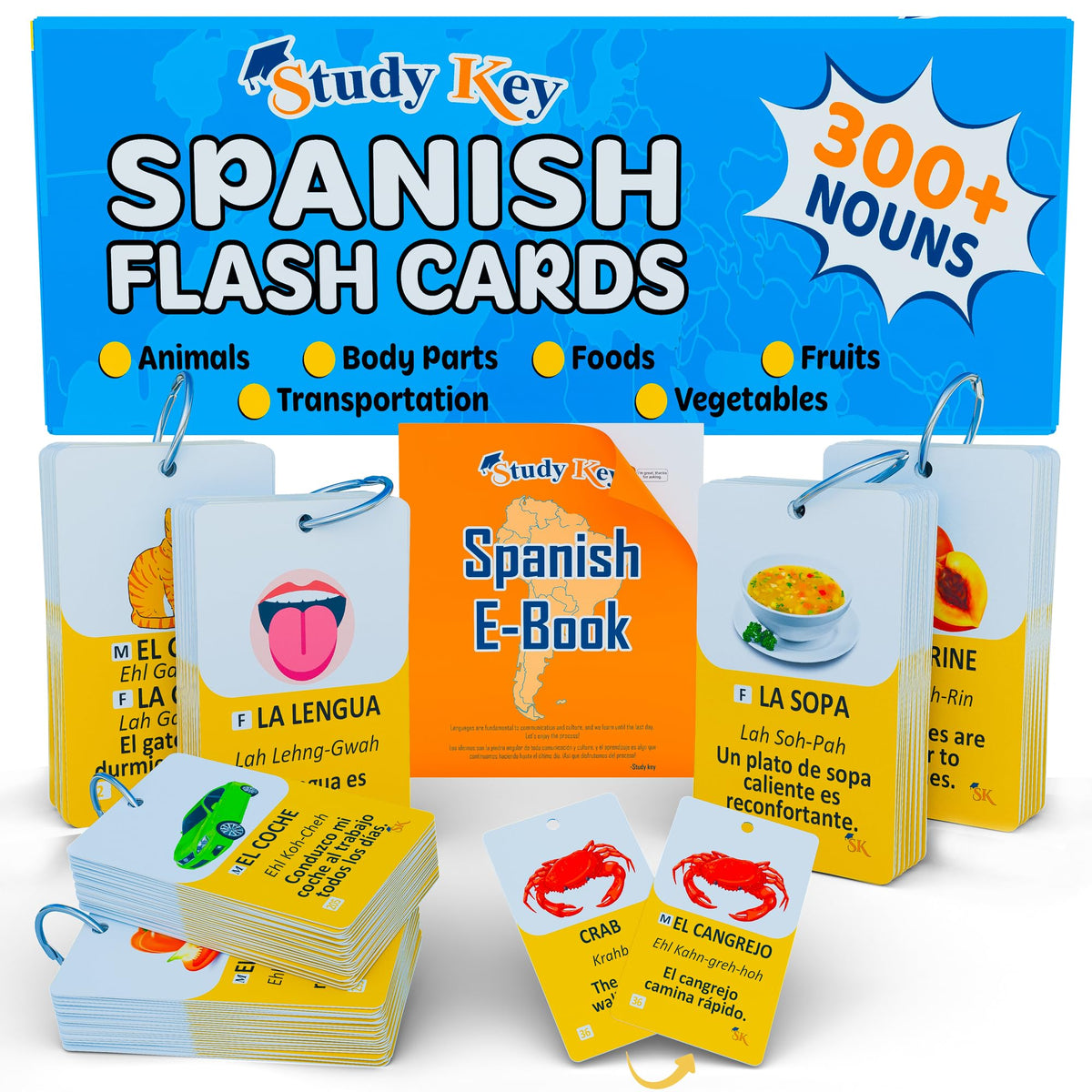 Study Key 300 flash cards: body parts visuals for quick bilingual practice.