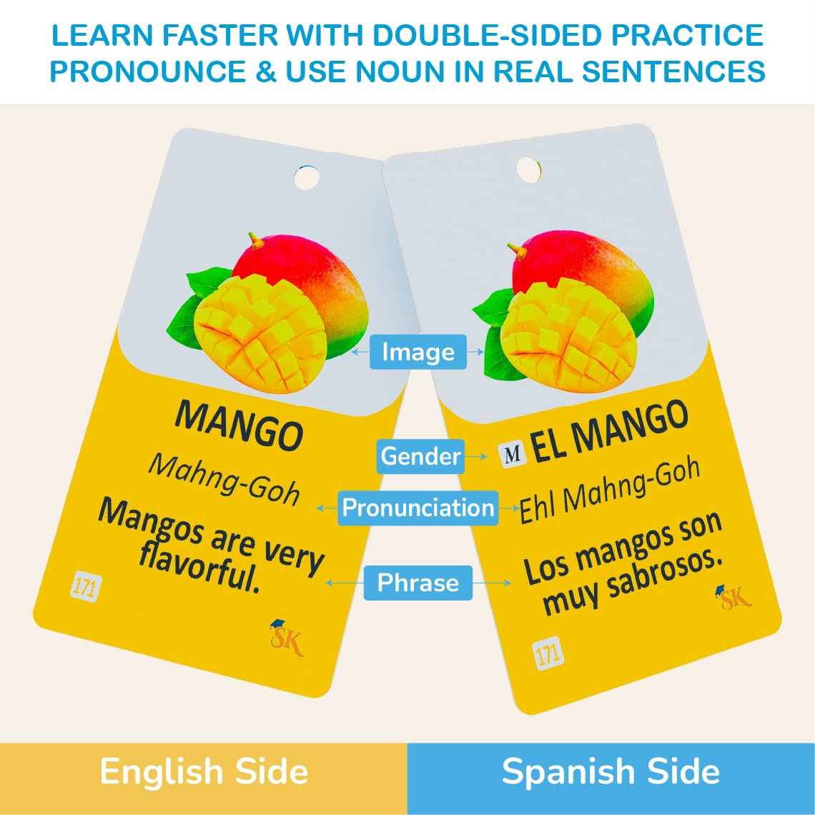 Study Key 300 flash cards: transportation visuals for travel language.