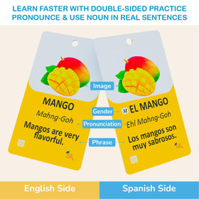 Study Key 300 flash cards: transportation visuals for travel language.