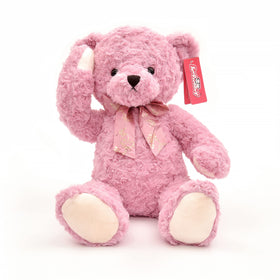Suepcuddly teddy bear available in four color options.
