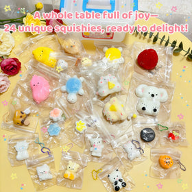 SUISUILE 24-pack squishy set offers varied textures and designs.