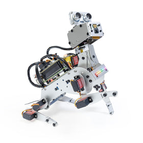 SunFounder PiDog walking action shows lifelike movement for demonstrations