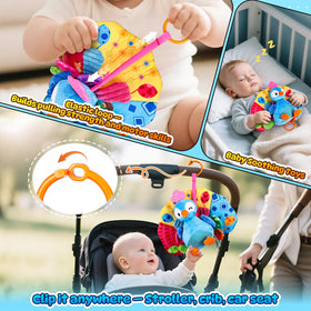 SunRiMax peacock squeaker invites little hands to press and listen.