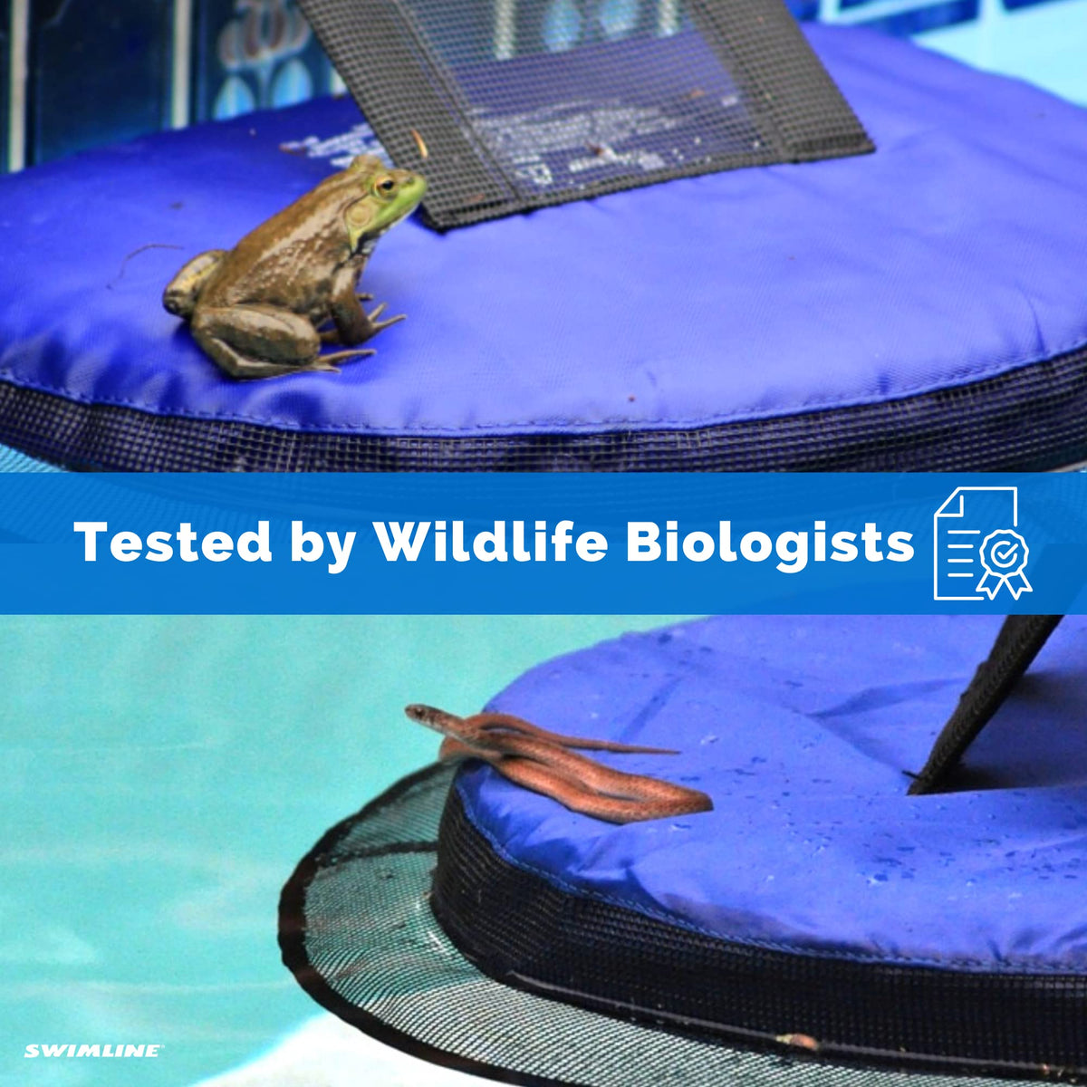 Media coverage of Swimline FrogLog highlights its wildlife safety impact.