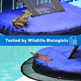 Media coverage of Swimline FrogLog highlights its wildlife safety impact.