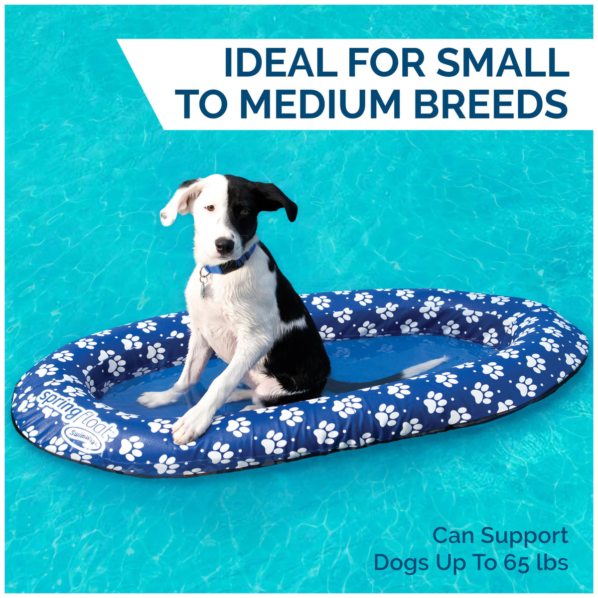 SwimWays Paddle Paws dog raft folded for travel and compact storage