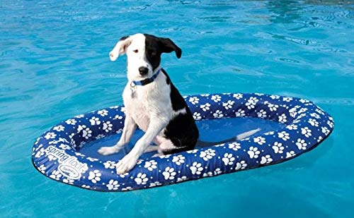 SwimWays Paddle Paws dog raft side view highlighting stability and rounded edges