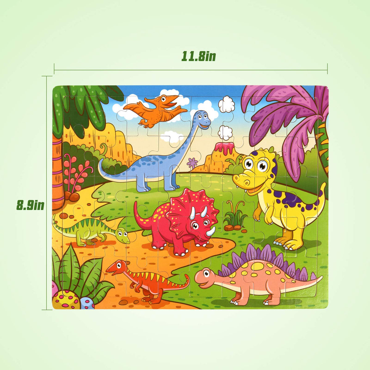 SYNARRY wooden storage tray with illustration guide helps kids place pieces accurately.