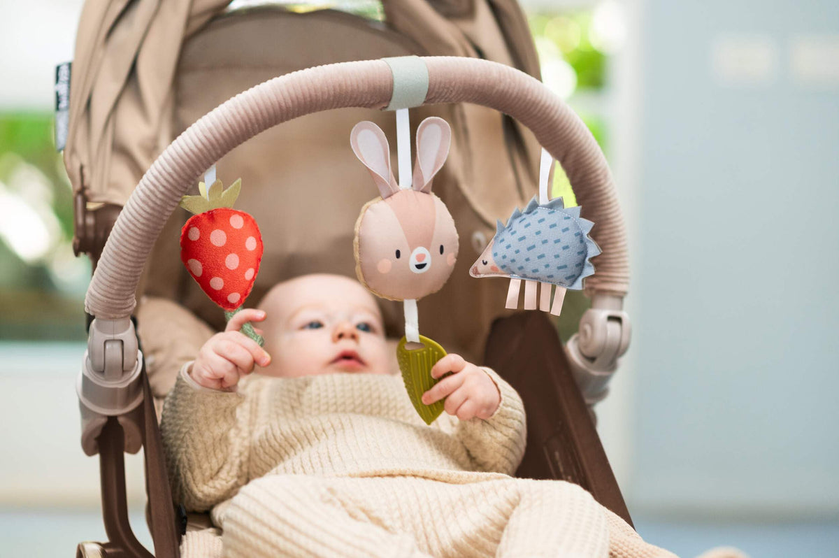 Taf Toys Activity Arch butterflies promote contrast perception for newborns.