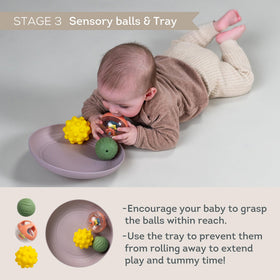 Taf Toys included plate supports stabilized play sessions