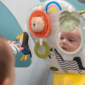 Taf Toys Harry the Lion rattle fosters tactile exploration and engagement