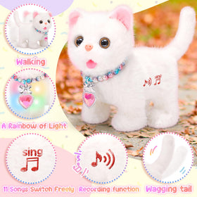 Tagitary cat dress-up accessories including crowns and jewelry for creative play.