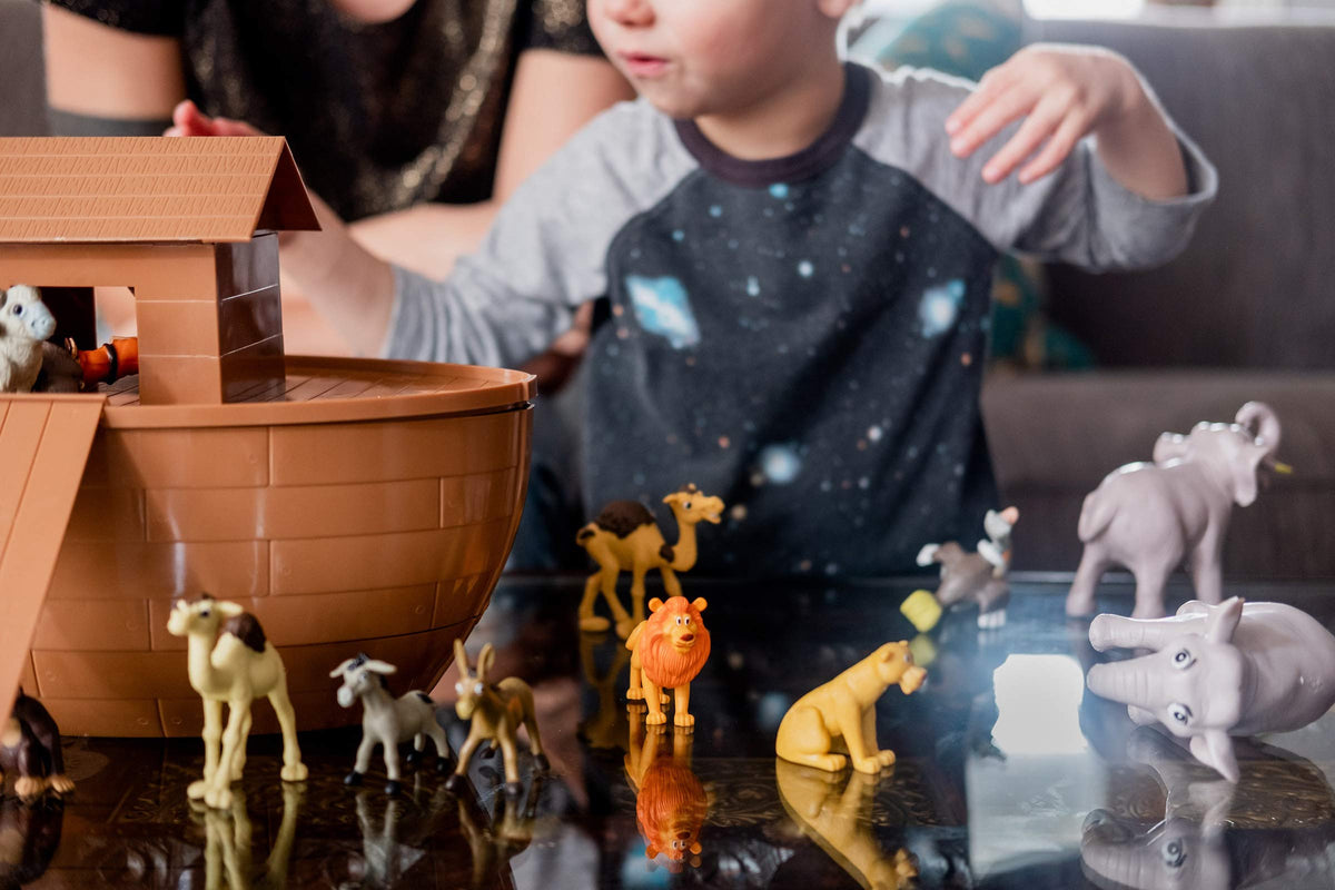 TaliCor Ark playset image showing easy assembly for quick classroom or home setup.