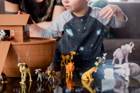 TaliCor Ark playset image showing easy assembly for quick classroom or home setup.