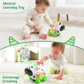 Talkfun pull-along cow toy encourages crawling and early walking.