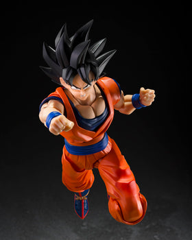 Nine-piece figure set with hands and faces for display options