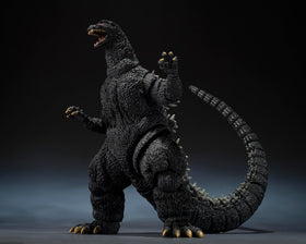 Tamashii Nations licensed box verifies official product and collector value