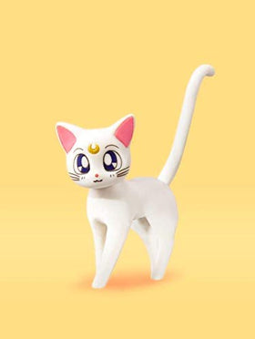 TAMASHII NATIONS Sailor Venus Animation Color Edition packaging label verifying licensing