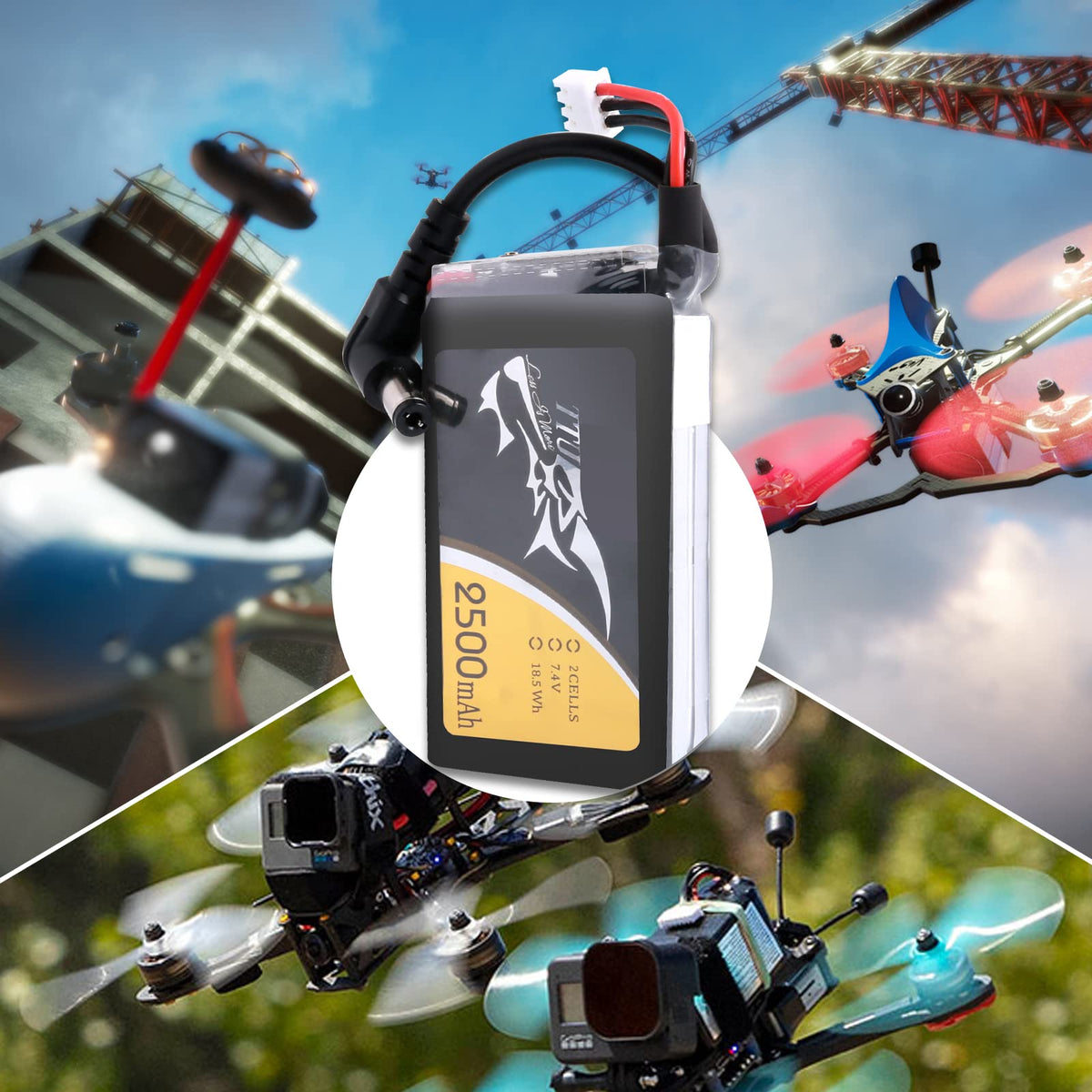 TATTU battery beside Fat Shark goggles for easy field swaps.