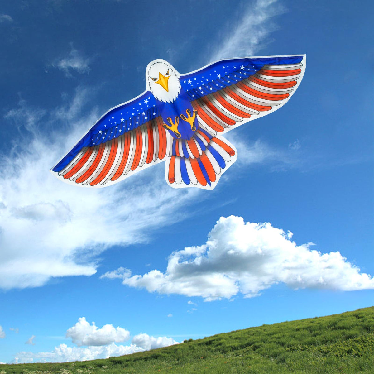 Tcvents brown eagle kite catching wind, ideal for beginners.