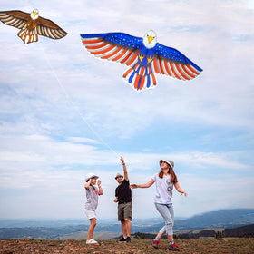 Tcvents eagle kites on a sunny beach at sunset for family activity.