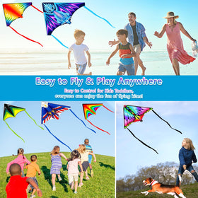 Tcvents kites in use outdoors showing easy handling for beginners