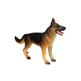 TEDCO 4D Vision dog anatomy model detachable-organs reveals removable parts for interactive study.