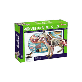 TEDCO 4D Vision dog anatomy model display-stand shows finished setup for display.