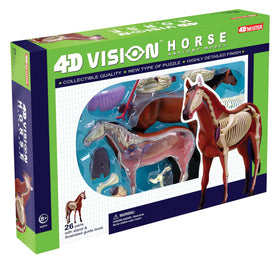 Tedco 4D Vision horse model with transparent cutaway showing internal structures